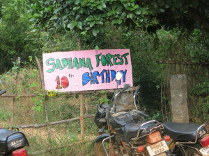 Alternativetraveling.com, India - Sadhana Forest - IMG_5645