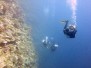 INDONESIA, Wakatobi - Tomia Island - Fun38 Dive