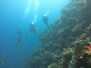 INDONESIA  - Wakatobi, Tomia Island - Magnifica Dive