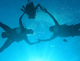 Underwater world –...
